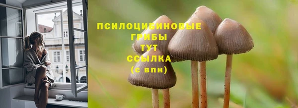 шишки Баксан