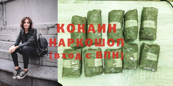 шишки Баксан